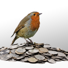 Early Bird Promotion Early Bird Promotion