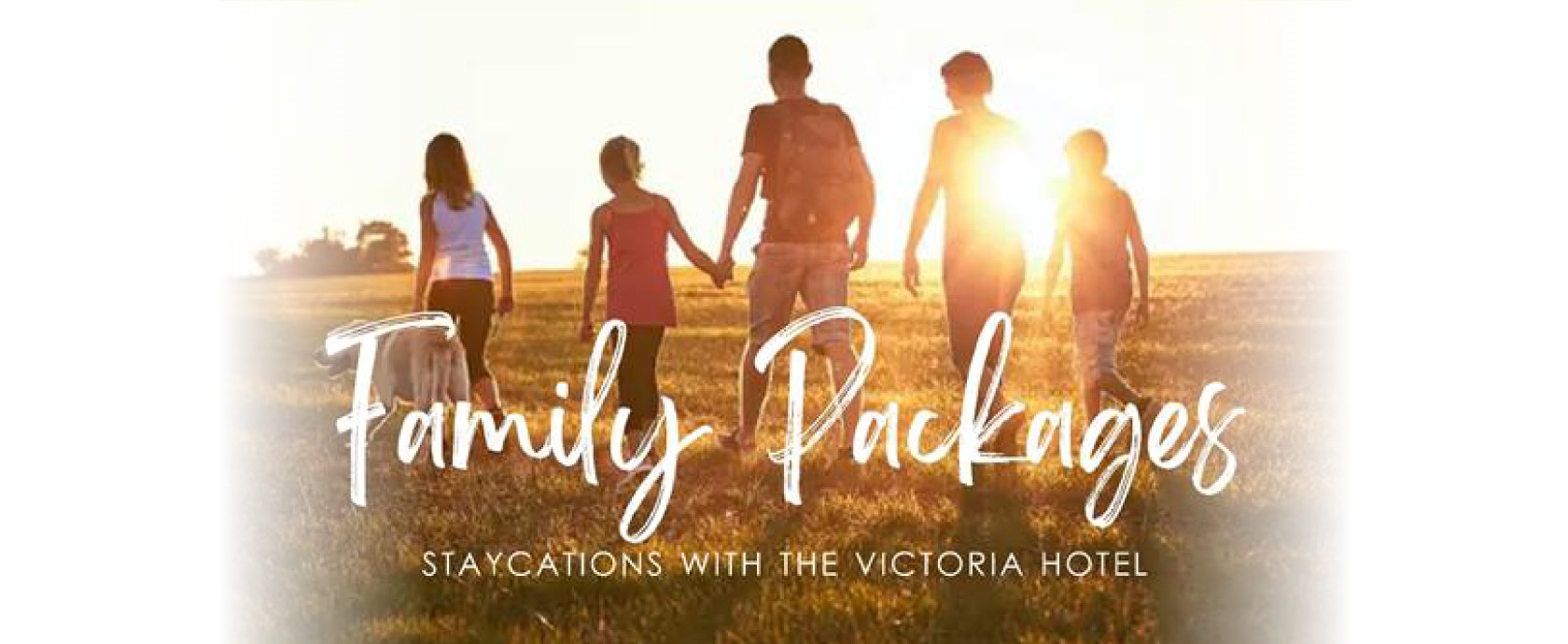 Family Package Staycations Family Package Staycations