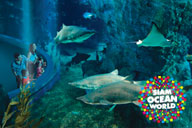 Siam Ocean World